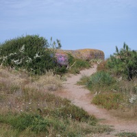 Photo de France - La randonnée de la Tamarissière